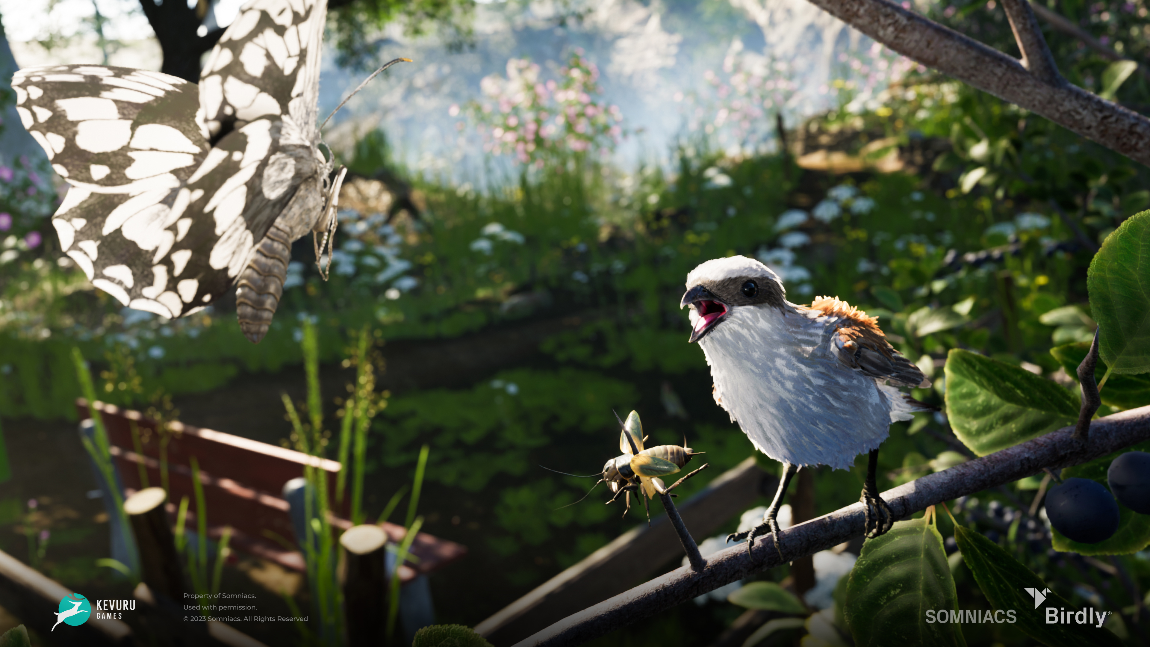 3D environment – Insects 3