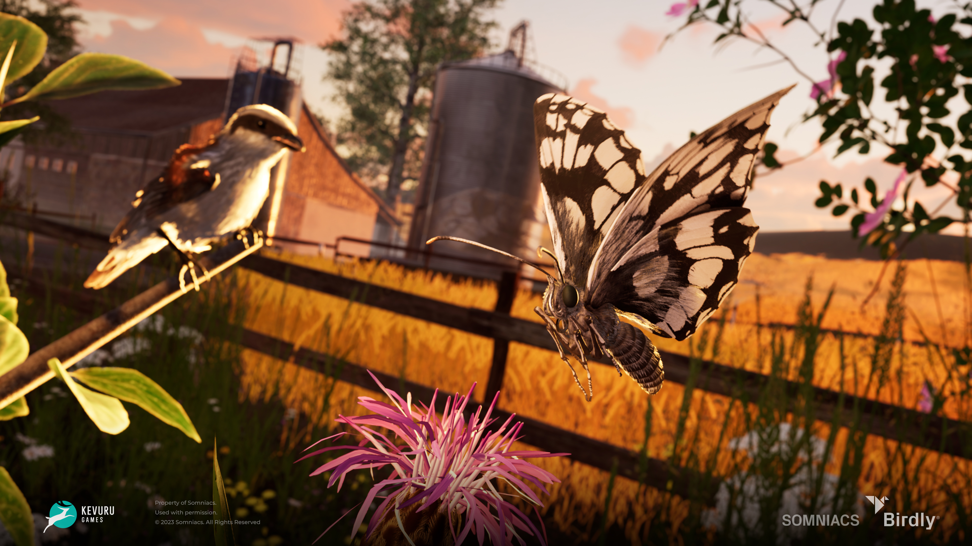 3D environment – Insects 2