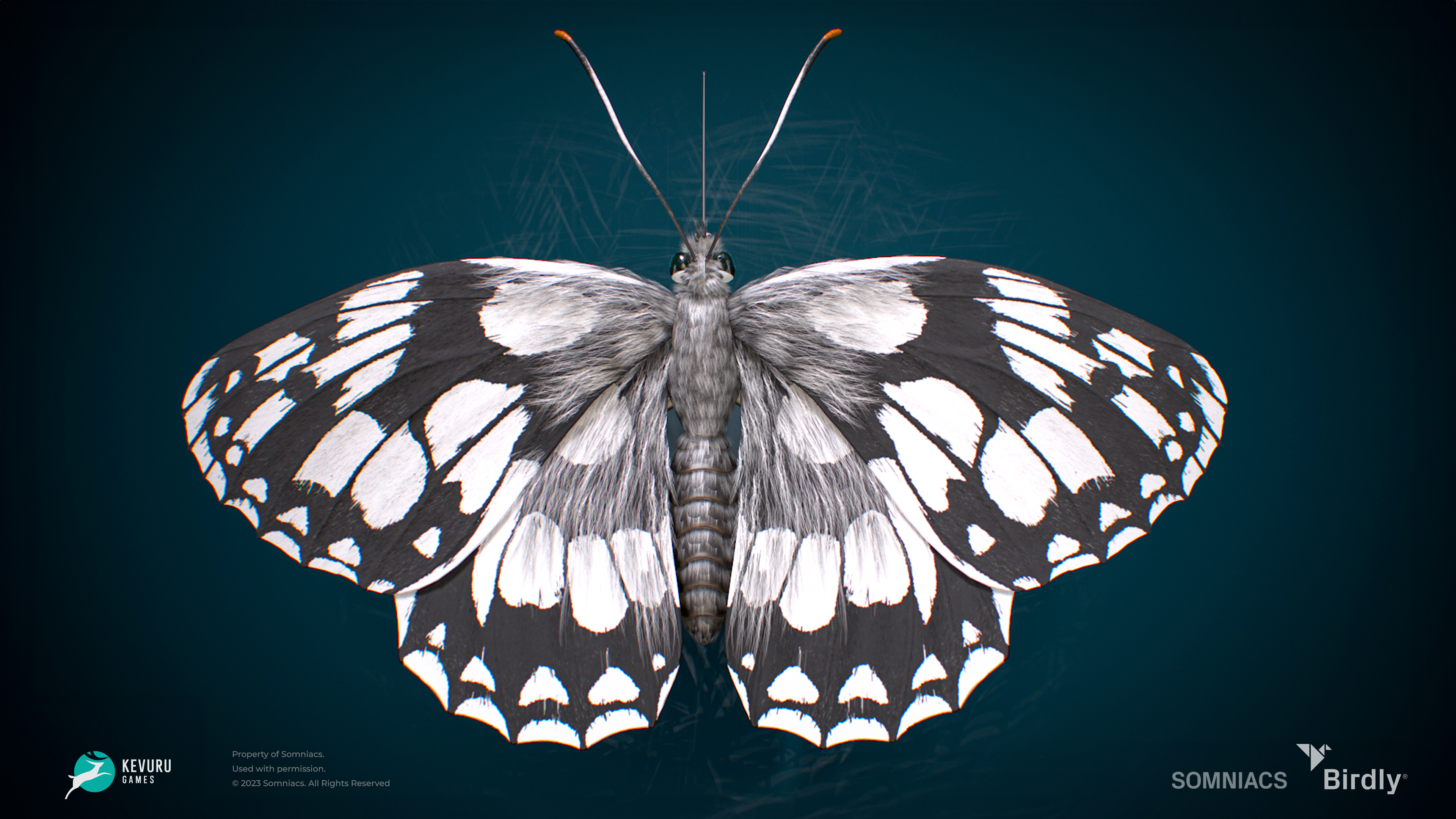 3D character – Butterfly