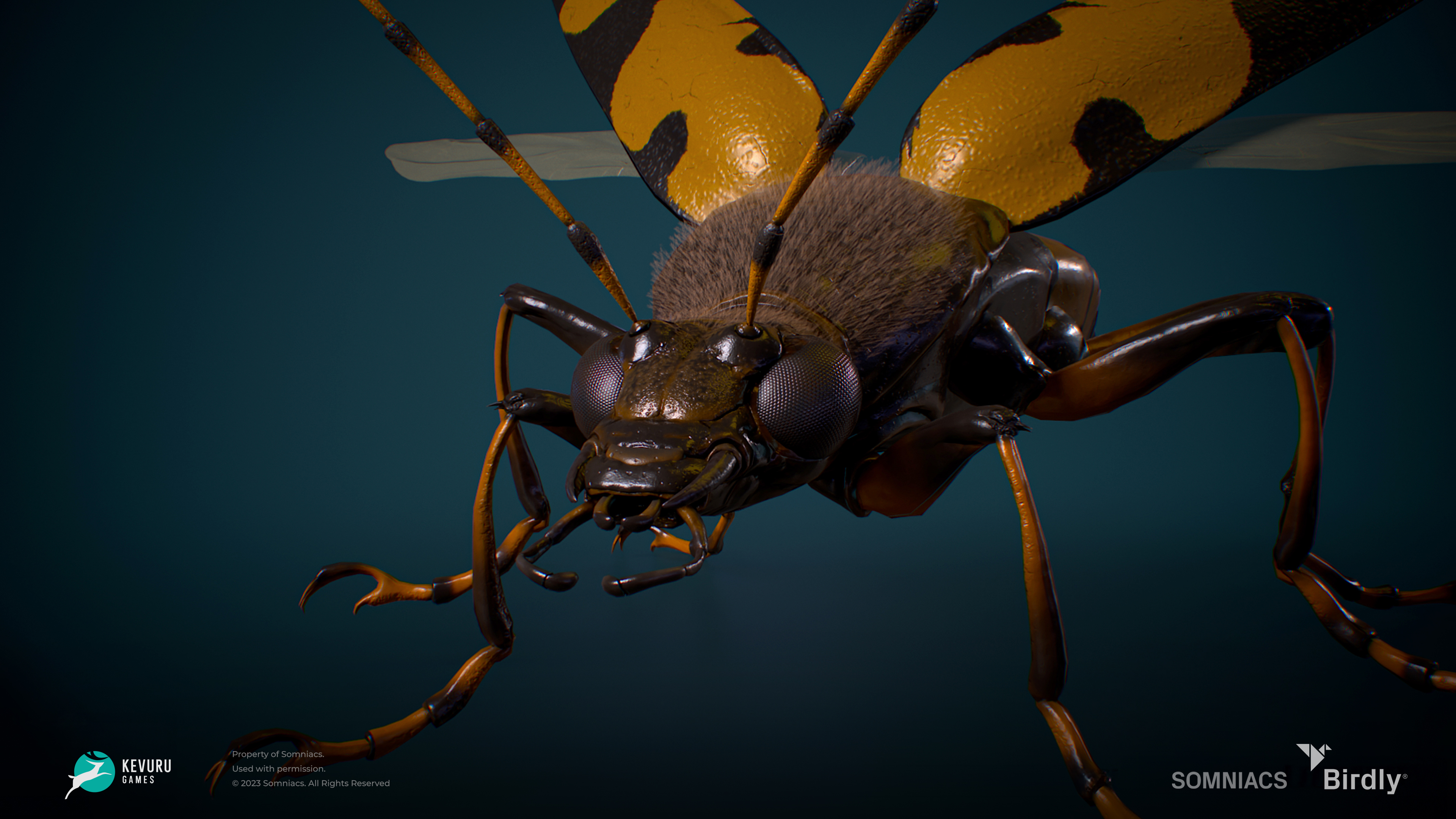 Birdly insect 3d